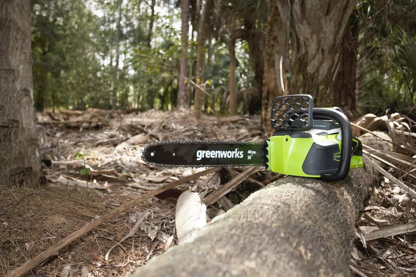 Fierastrau cu lant cu acumulator GreenWorks GD40CS40 (Green/Black)