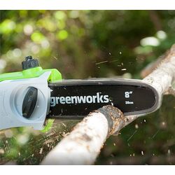 Taietor de crengi cu acmulator Greenworks G40PSHK2 (Green) Thumb