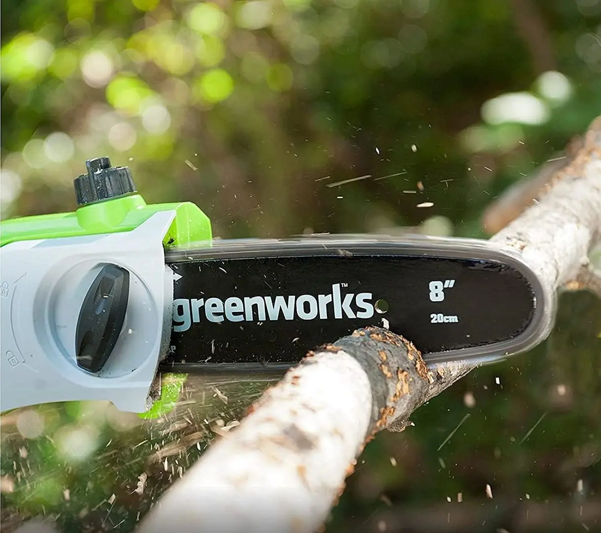 Taietor de crengi cu acmulator Greenworks G40PSHK2 (Green)