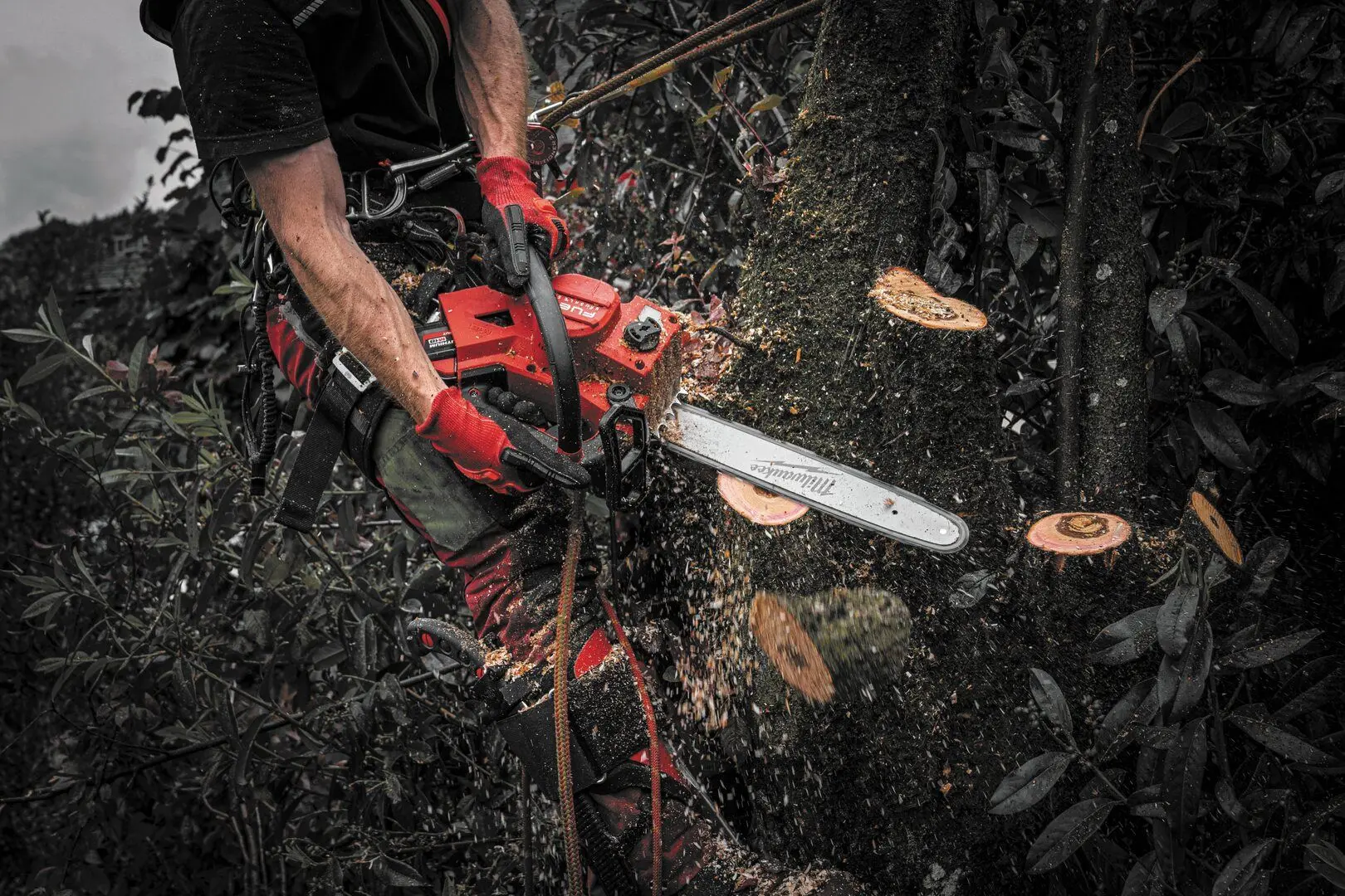 Fierastrau cu lant cu acumulator Milwaukee M18 FTHCHS35-0 (Red/Black)