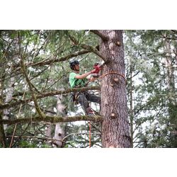 Аккумуляторная цепная пила Milwaukee M18 Fuel FHS20-0 (Black/Red) Thumb