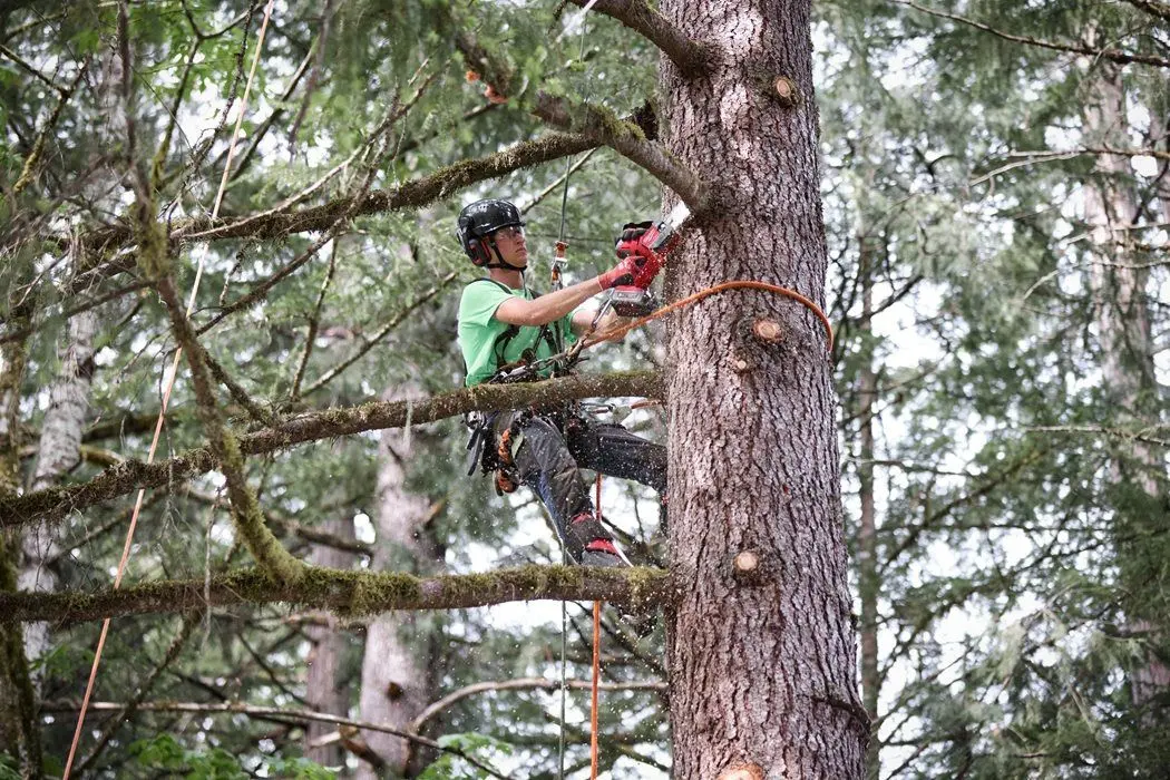 Аккумуляторная цепная пила Milwaukee M18 Fuel FHS20-0 (Black/Red)