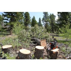 Fierastrau lant cu acumulator Redback EA216 Solo Thumb