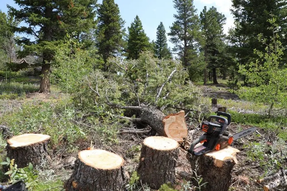 Fierastrau lant cu acumulator Redback EA216 Solo