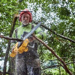 Lant pentru ferastrau Dewalt DT20690 Thumb