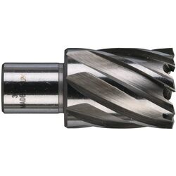 Freza inelara Milwaukee HSS 4932343286 30x30mm