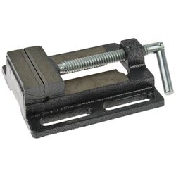 Menghina Geko G01041