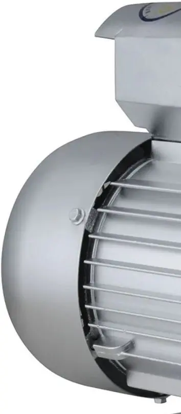 Vibrator pentru beton Elmos ZN70 - 3