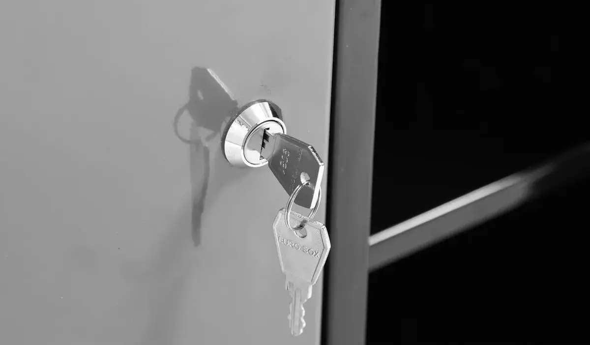 Dulap suspendat pentru instrumente Vorel 58441 (Black/Grey)