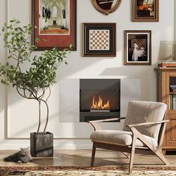 Биокамин Homcom 820-430V00BK (Silver/Black) Thumb