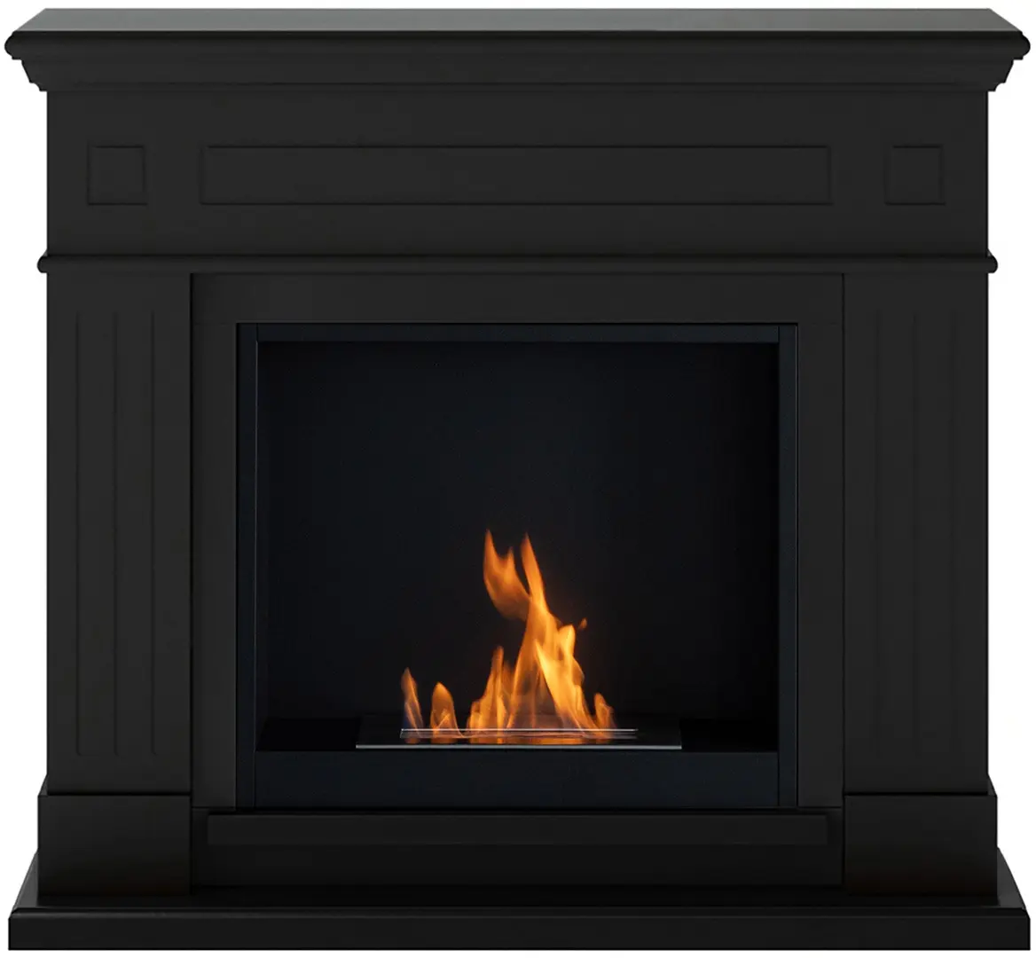Биокамин Tagu Larsen FreeFlame (Deep Black)