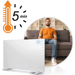 Инфракрасная нагревательная панель Berdsen BD-981 398100 (White) Thumb