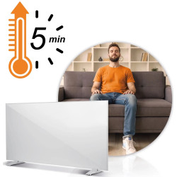 Инфракрасная нагревательная панель Berdsen BD-982 398200 (White) Thumb