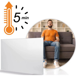 Инфракрасная нагревательная панель Berdsen BD-986 398600 (White) Thumb
