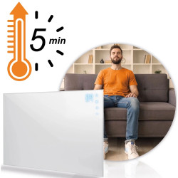Инфракрасная нагревательная панель Berdsen BD-987 398700 (White) Thumb