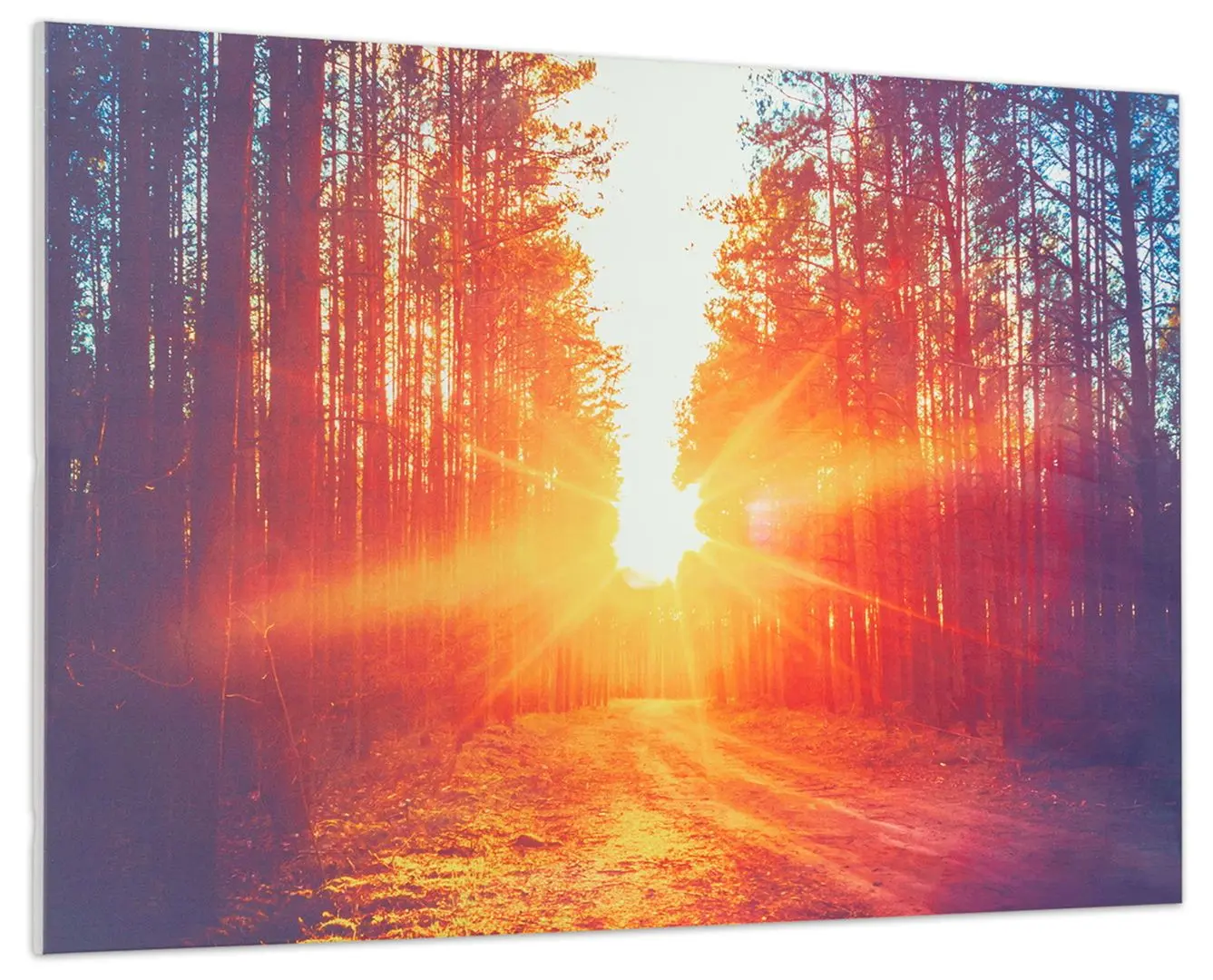 Incalzitor infrarosu Klarstein Wonderwall Air Art Infinite 580 (White)