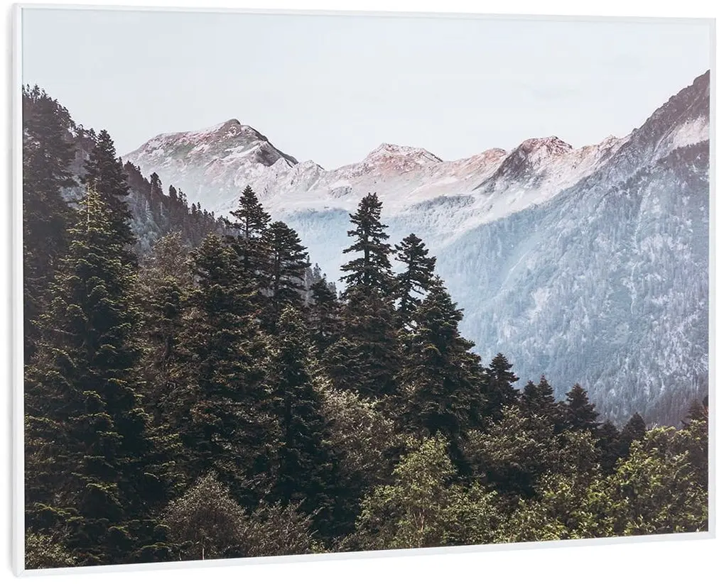 Инфракрасный обогреватель Klarstein Wonderwall Air Art Smart 10035121 (White)