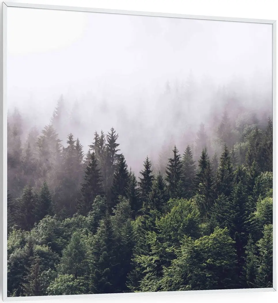 Инфракрасный обогреватель Klarstein Wonderwall Air Art Smart 10037820 (White)