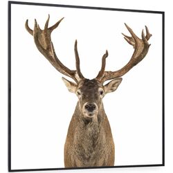 Incalzitor infrarosu Klarstein Wonderwall Air Art Smart 10037831 (Black)