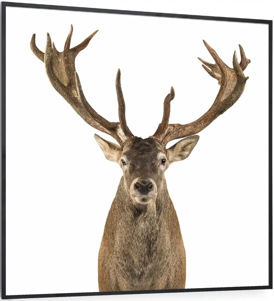 Incalzitor infrarosu Klarstein Wonderwall Air Art Smart 10037831 (Black)