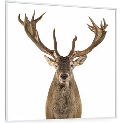 Incalzitor infrarosu Klarstein Wonderwall Air Art Smart 10037832 (White)