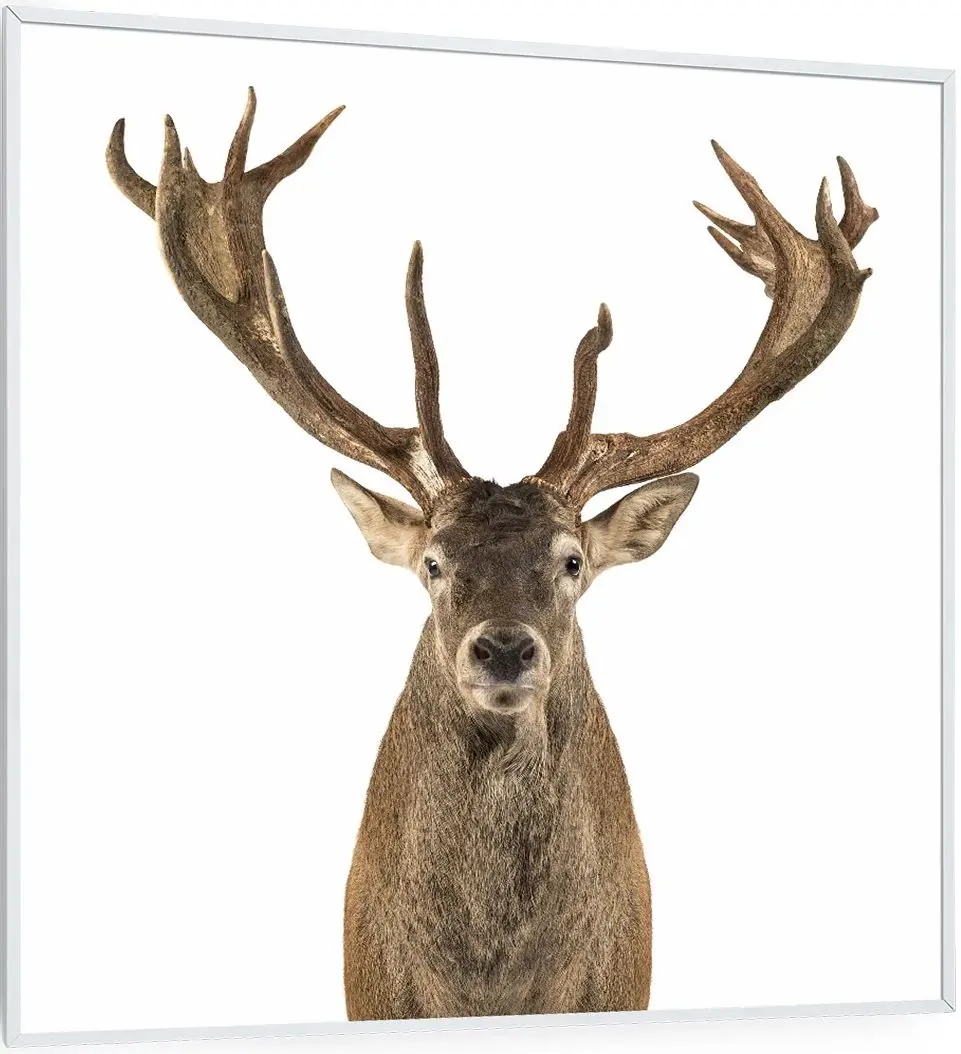 Incalzitor infrarosu Klarstein Wonderwall Air Art Smart 10037832 (White)