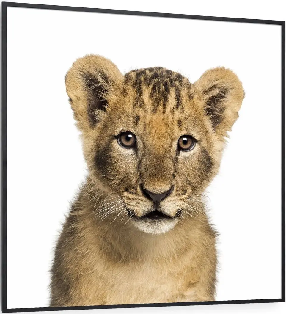 Incalzitor infrarosu Klarstein Wonderwall Air Art Smart 10037833 (Black)