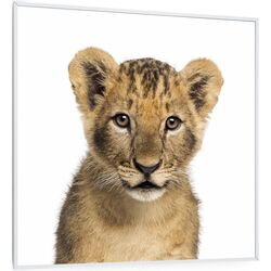 Incalzitor infrarosu Klarstein Wonderwall Air Art Smart 10037834 (White)