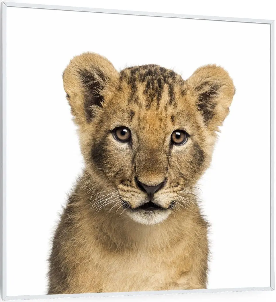 Инфракрасный обогреватель Klarstein Wonderwall Air Art Smart 10037834 (White)