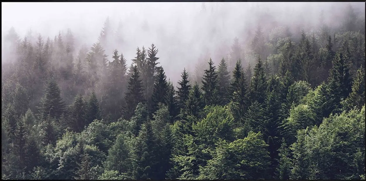 Incalzitor cu infrarosu Klarstein Wonderwall Air Art Smart 10037899