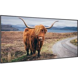 Инфракрасный обогреватель Klarstein Wonderwall Air Art Smart 10037923 (Black)