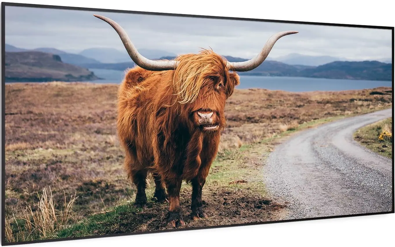 Инфракрасный обогреватель Klarstein Wonderwall Air Art Smart 10037923 (Black)