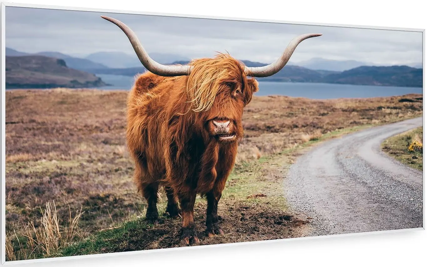 Инфракрасный обогреватель Klarstein Wonderwall Air Art Smart 10037924 (White)