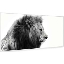 Инфракрасный обогреватель Klarstein Wonderwall Air Art Smart 10037926 (White)