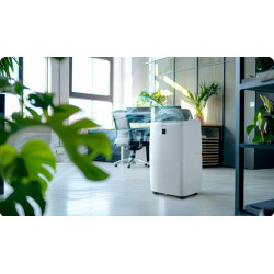 Мобильный кондиционер Berdsen BD-581 (White) Thumb