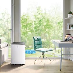 Мобильный кондиционер Electrolux ChillFlex Pro EXP26U538HW (White/Black) Thumb