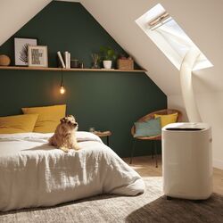 Climatizor mobil GoodHome Takoma WAP-08EK13 (Whtie) Thumb