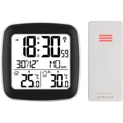 Termometru Berdsen BD-903 (Silver)