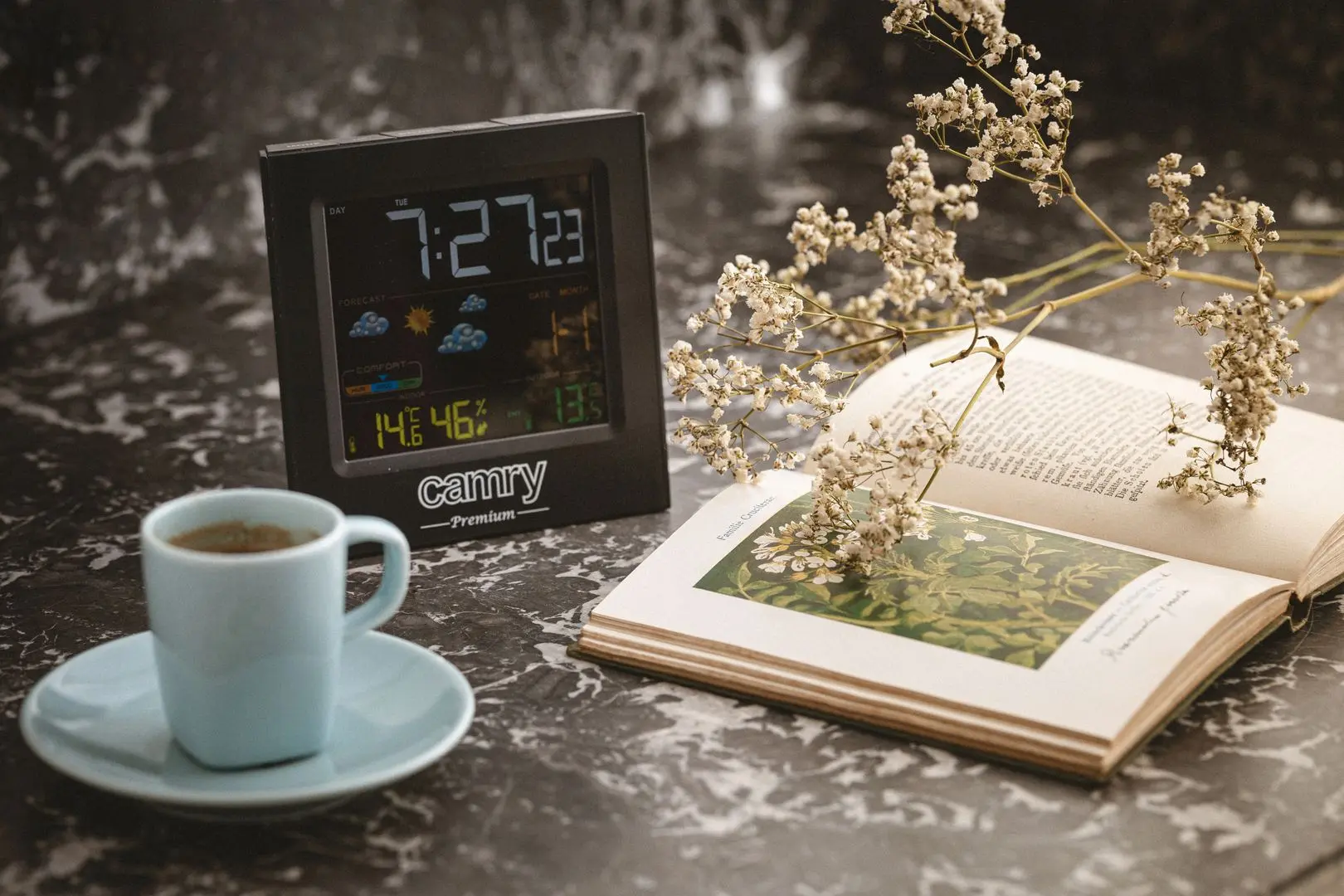 Statie meteorologica Camry CR 1166 (Black)