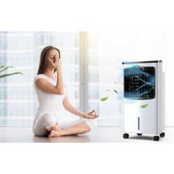 Racitor de aer Costway 4in1 ES10348DE-WH (White/Black) Thumb