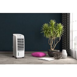 Охладитель воздуха 4в1 ECG ACR 5570 (White) Thumb