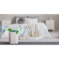 Осушитель воздуха AlecoAir D22 Purify (White) Thumb