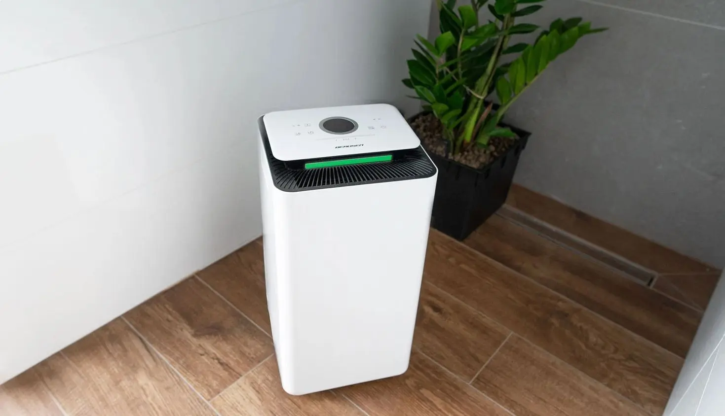 Dezumidificator Berdsen BD-521 (White)