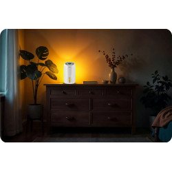 Dezumidificator Berdsen BD-529 352900 (White) Thumb