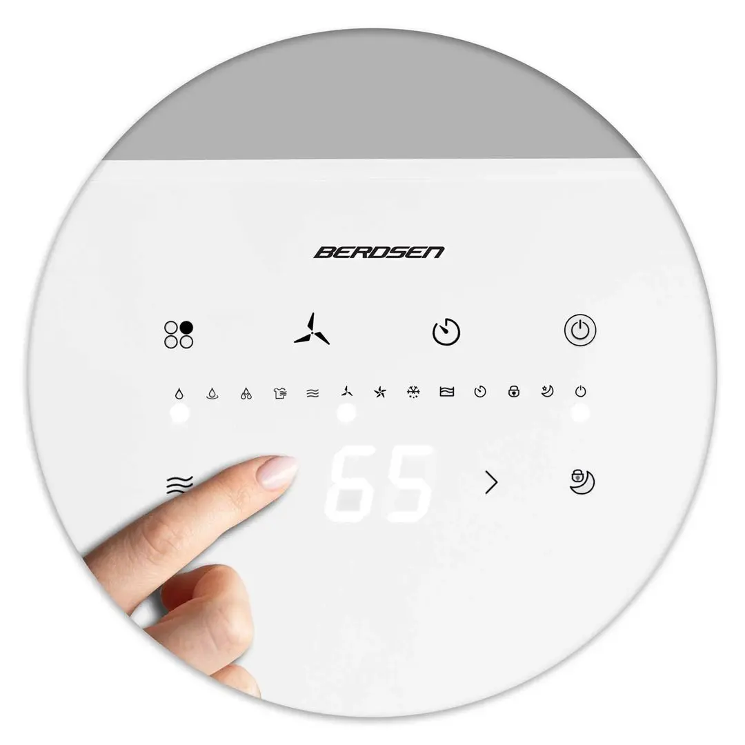Осушитель воздуха Berdsen BR-524 (White)