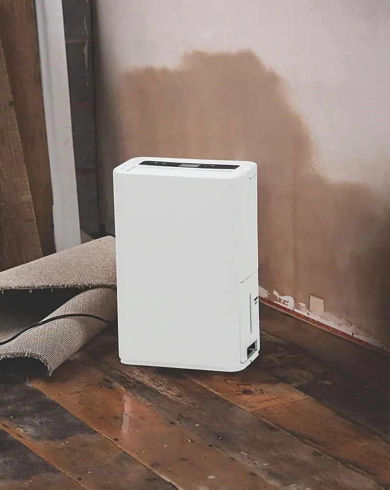 Dezumidificator Blyss WDH-316DB (White)