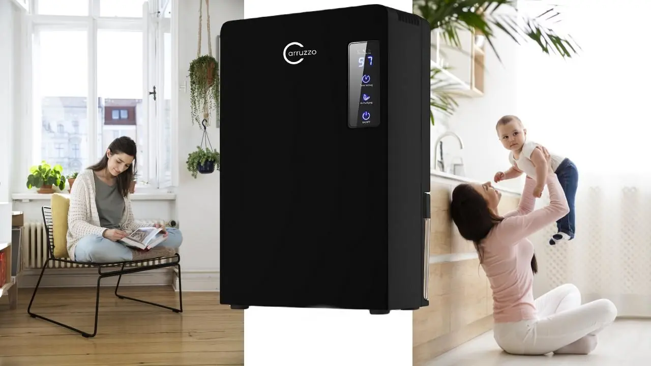 Dezumidificator Carruzzo Q34J (Black)