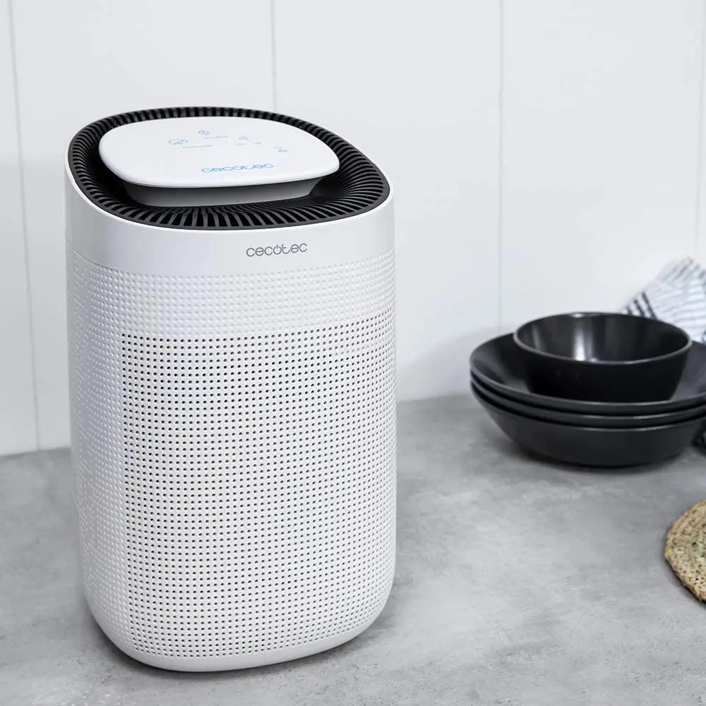 Dezumidificator de aer 2în1 Cecotec BigDry 2500 (White)