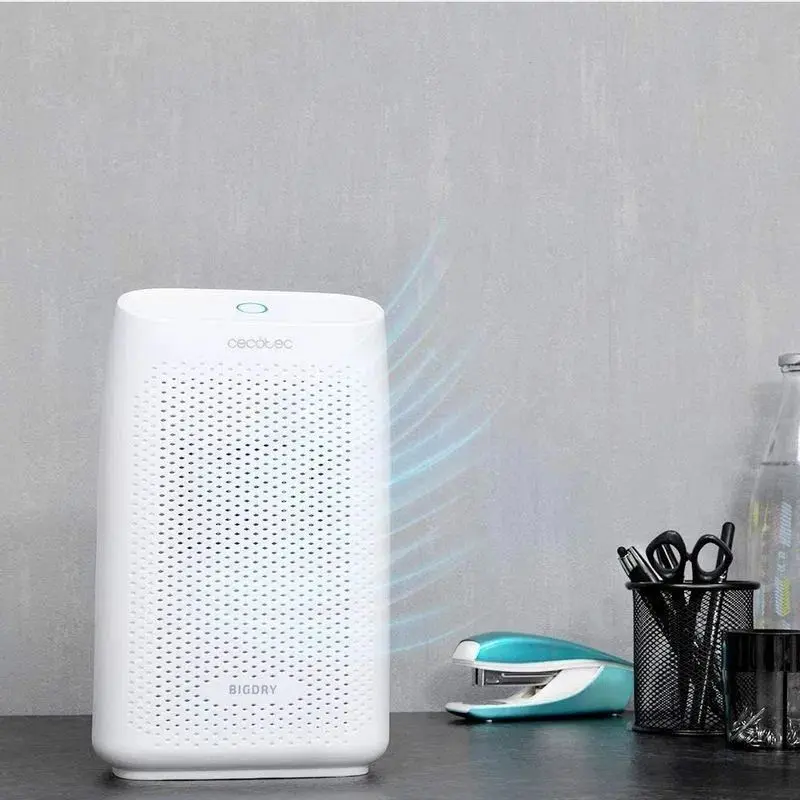 Dezumidificator Cecotec BigDry 2000 Essential (White)