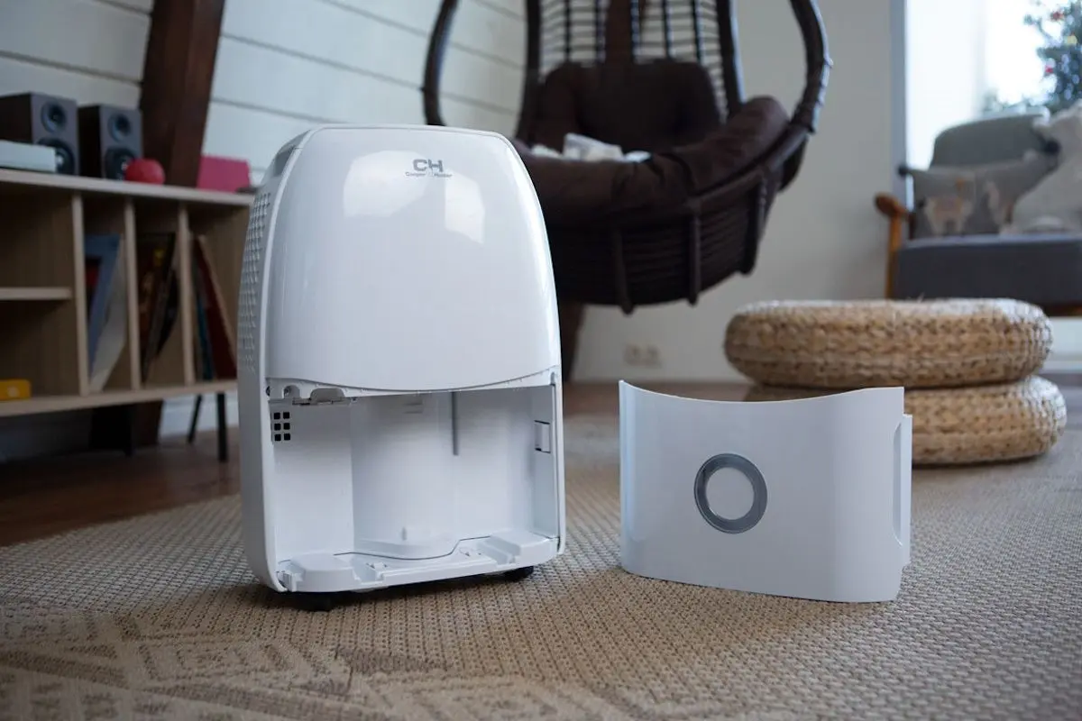 Осушитель воздуха Cooper&Hunter CH-D005WD2-12LD (White)